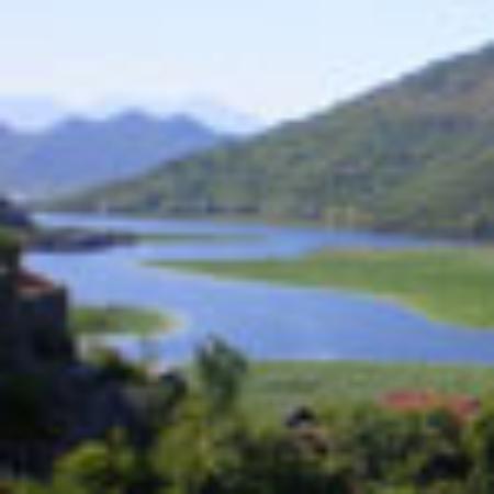 Toeka