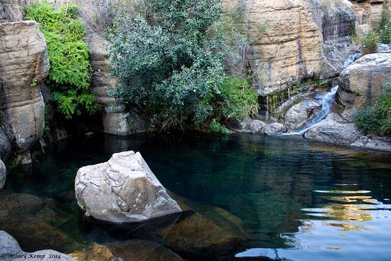 Mountain Sanctuary Park